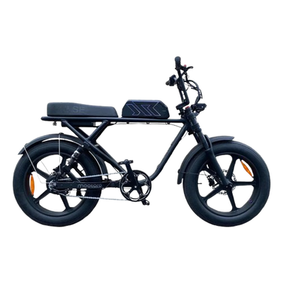 Pulse Fatbikes