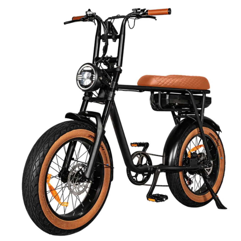EB2 Fatbike - Bruin