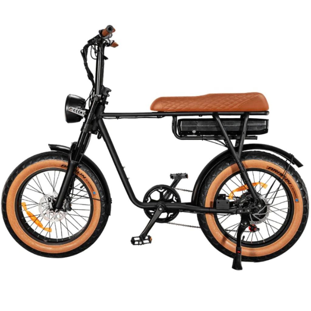 EB2 Fatbike - Bruin