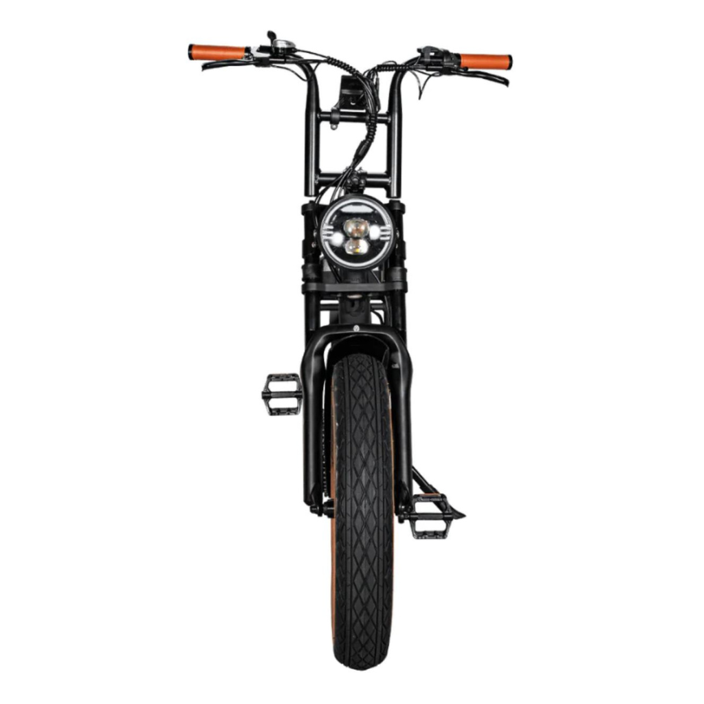 EB2 Fatbike - BruinEB2 Fatbike - Bruin